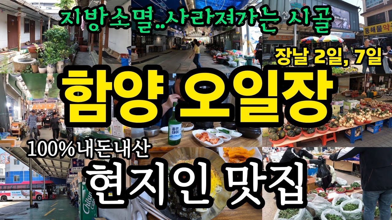 함양 오일장(전통시장, 함양시장, 시장맛집, 지방소멸, 내돈내산, 시장, 함양맛집, 국내여행, 함양여행, 함양군, 시골맛집, 국수맛집, 먹방, 순대국밥, 시장탐방, 현지인맛집)