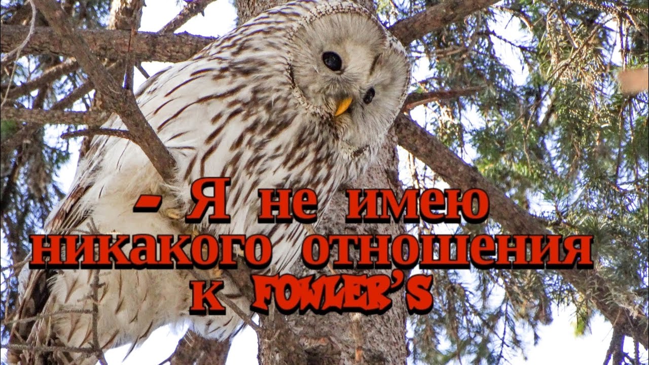 =ТОЛЯН ВСЕГДА ХОТЕЛ ЛЕТАТЬ=
