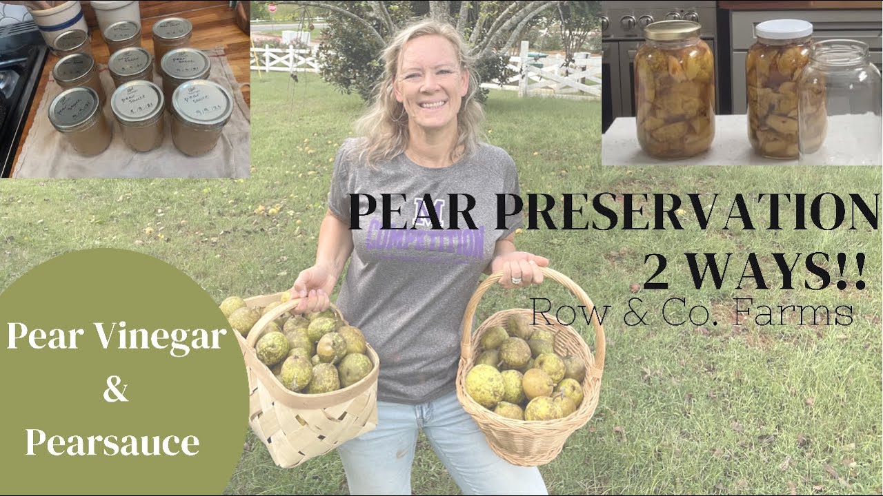 2 WAYS TO PRESERVE PEARS
