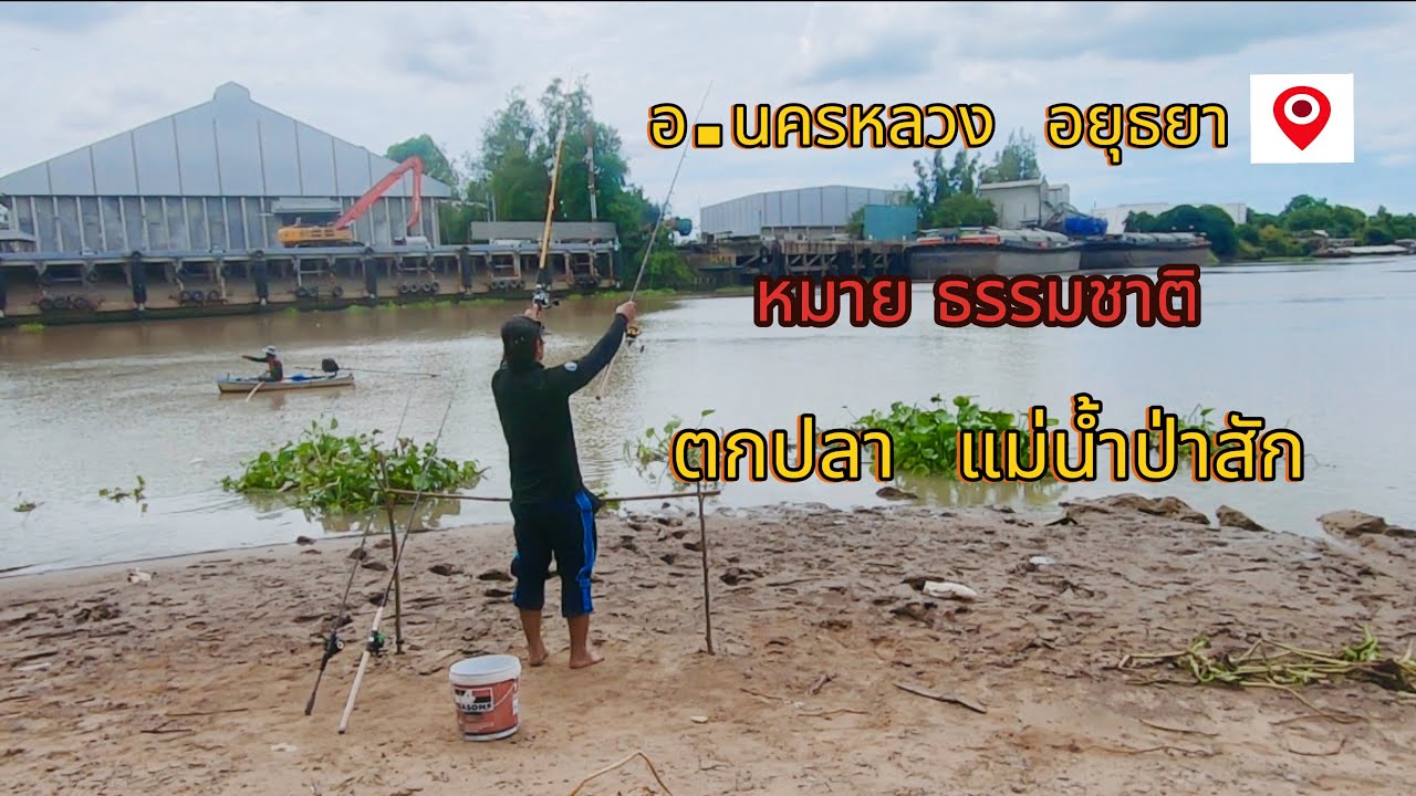 อ.นครหลวง อยุธยา หมายธรรมชาติ ตกปลาแม่น้ำป่าสัก