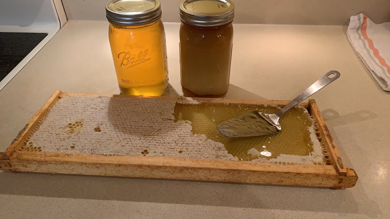 Kalanoocyada malabka iyo faa’iidadooda/Cafimat Fican