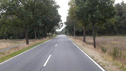 Lüneburg-Dannenberg