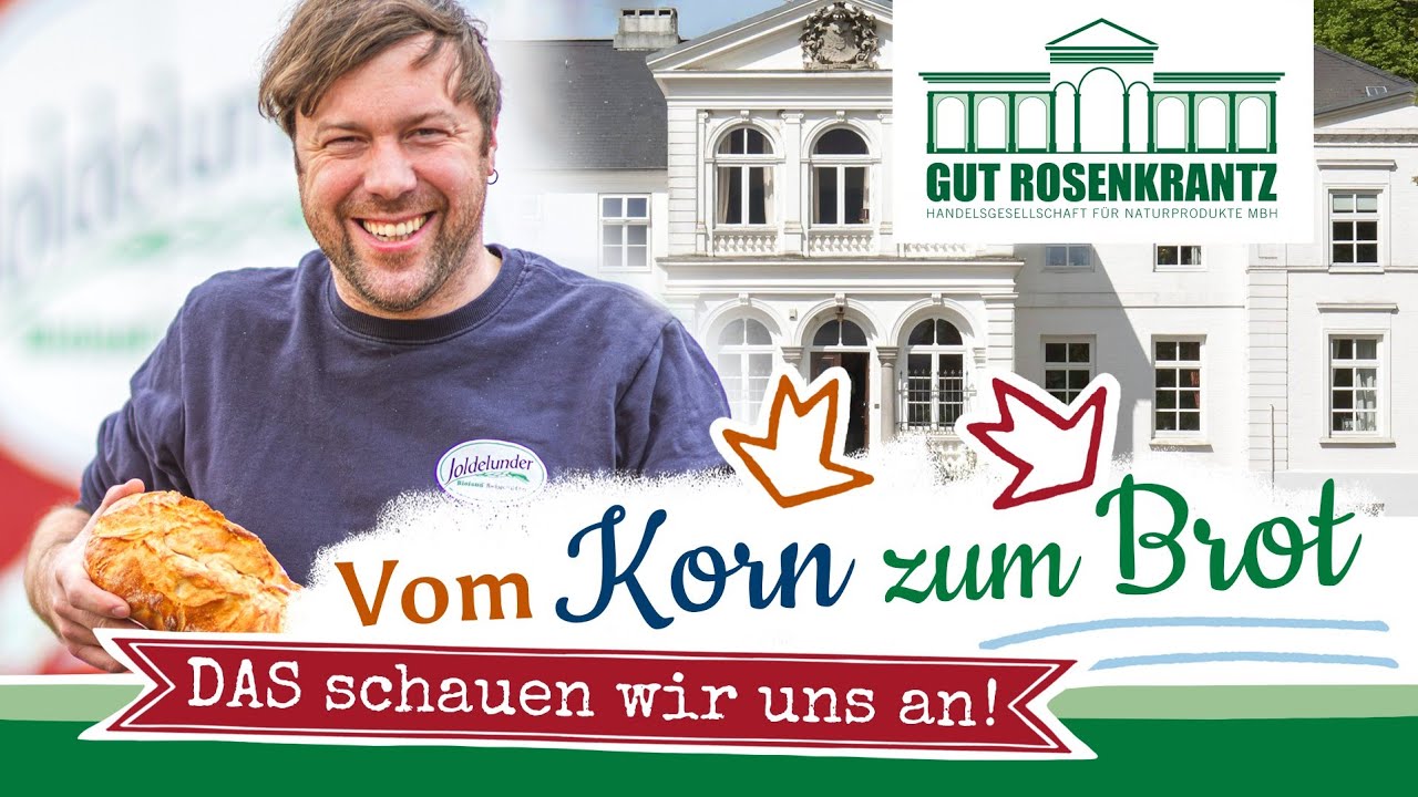 Vom Korn zum Brot: Der Weg unseres Bioland Dinkels – Besuch bei Gut Rosenkrantz!