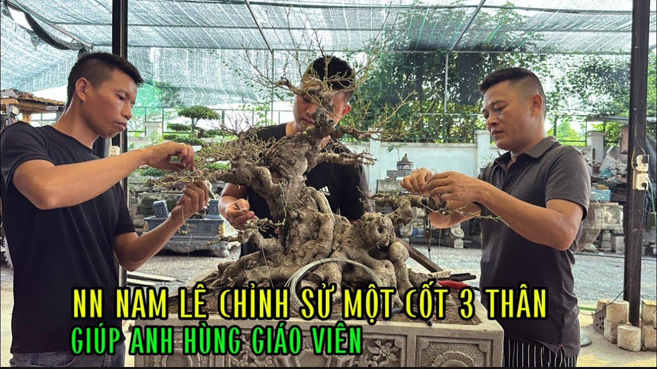 NN NAM LÊ CHỈNH SỬ MỘT CỐT 3 THÂN GIÚP ANH HÙNG GIÁO VIÊN 0919.859.668