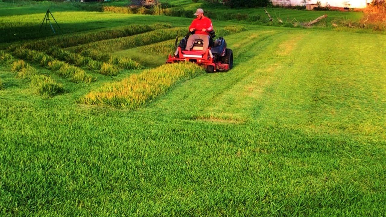 Had to MOW DOWN our American Flag in the Lawn | Here's WHY