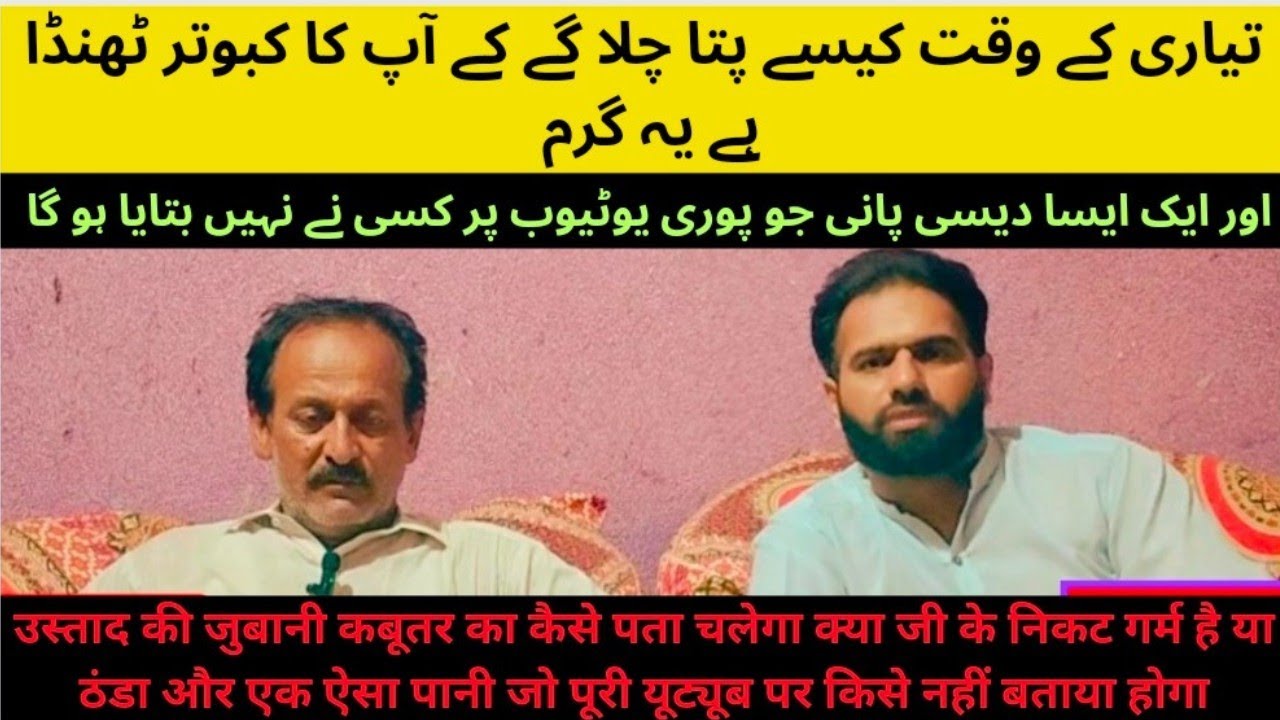 kabutar Bazi Ustad Foji Iqbal Sab ke zubani bohat he lajwab malomat ||#viral #kabootar #trending