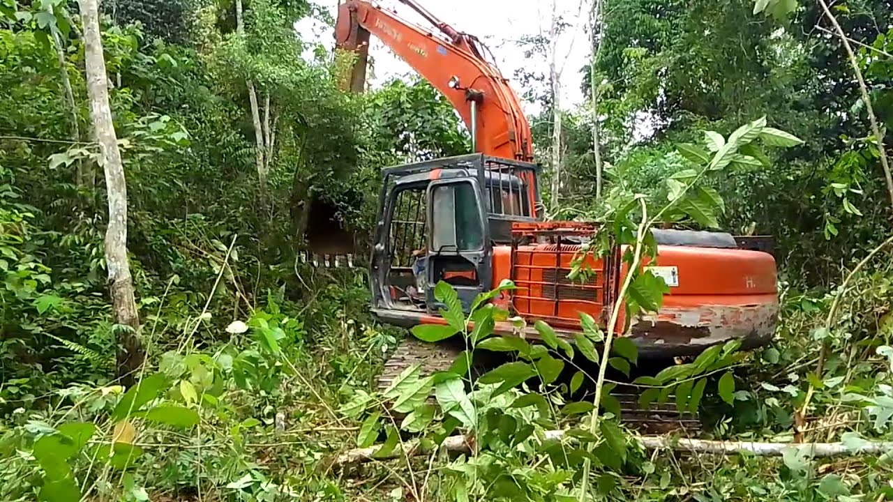 Alat berat Hitachi PC 210f terabas hutan merintis batas pembukaan lahan sawit