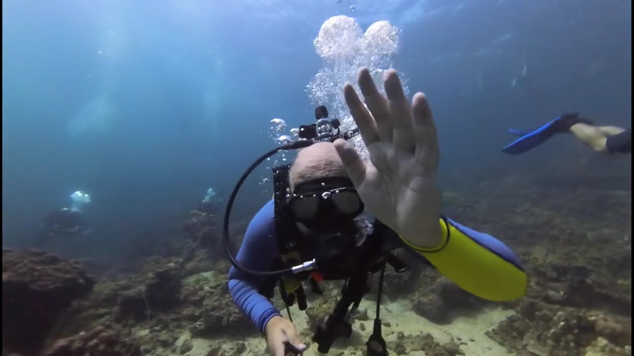 Scuba Diving Phi Phi Thailand 2025