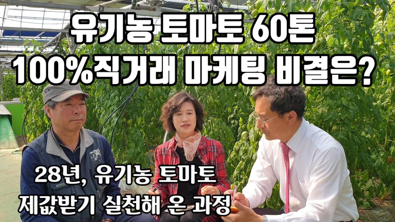 [달기농장 3-2]유기농토마토60톤 100% 직거래 마케팅 비결은? 28년 유기농토마토 제값받기 실천해 온 과정, 유기농업인들이 공통적으로 하는 말?