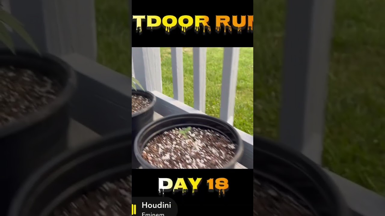 Tag: 