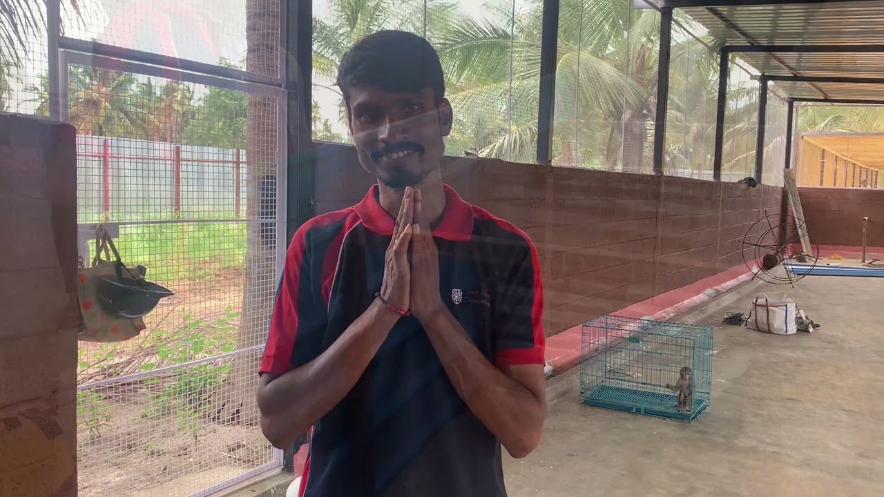 Bidāla Kshetra - A Haven for Cats. (Sudha Shelter Home )