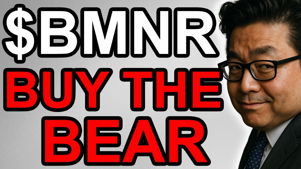 You BUY LOW $BMNR NOW when its BEARISH