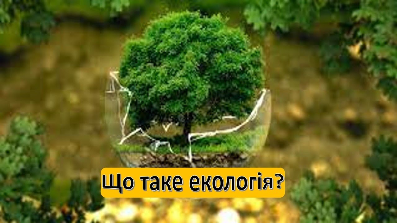 Урок 82. Що вивчає екологія? Я досліджую світ 3 клас