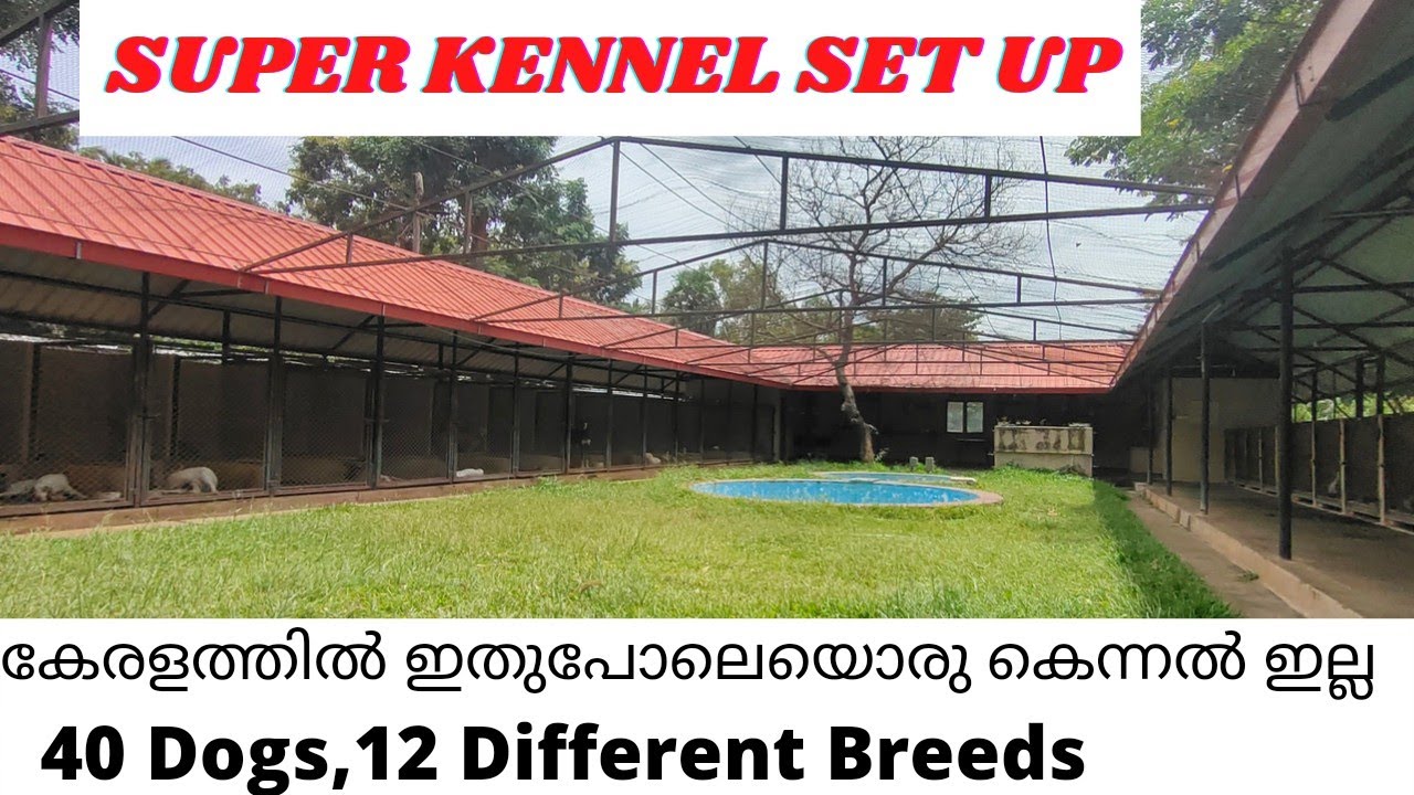 Biggest Kennel Set up in South India|Rajapalayam Dog Kennel|12 Different Breed Dogs|Top slip kennel|