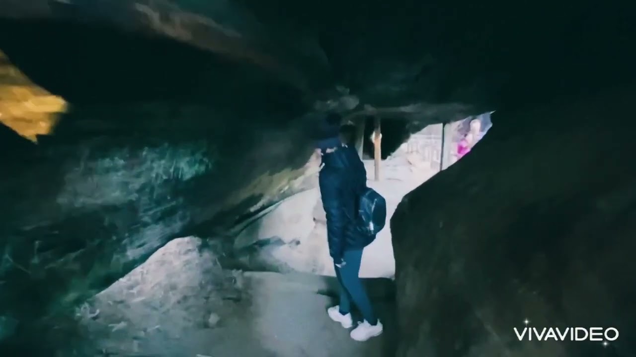 Sequoia General Grant Tree 🌳 Wait A Minute