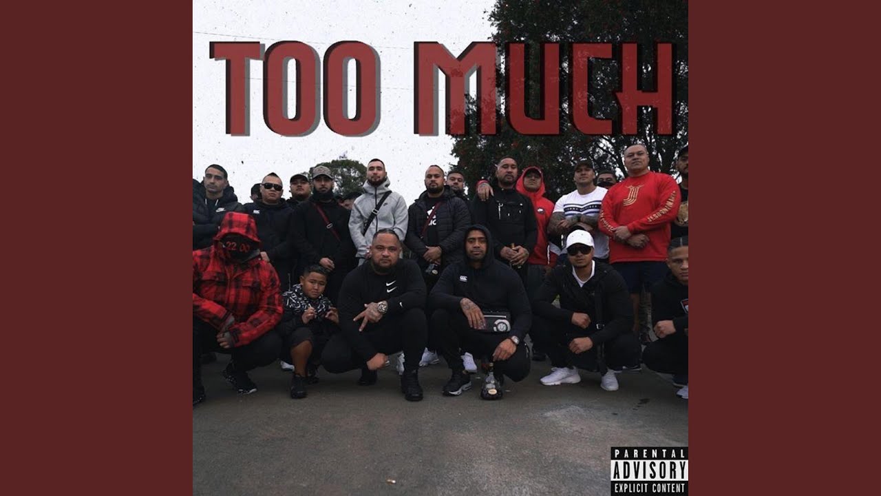 Too Much (feat. RED Honcho, Gee8six, Ldp & Slickmillz)