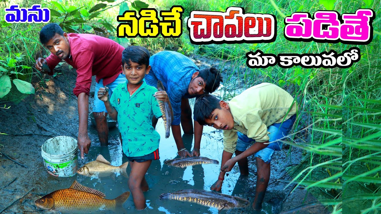 maa kaluvalo chpalu pattinam || manu madugulo chapalu  fish hutting || telugu letest all atoz