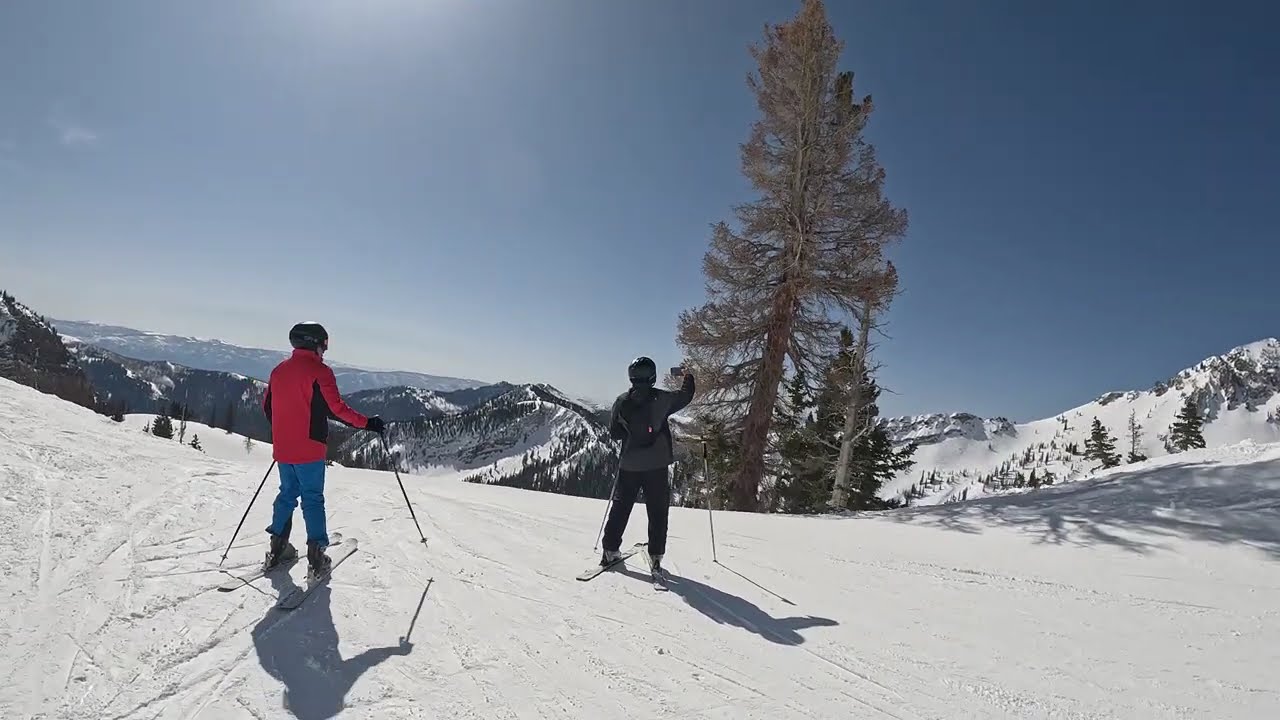 Snowbird Mineral Basin Skiing