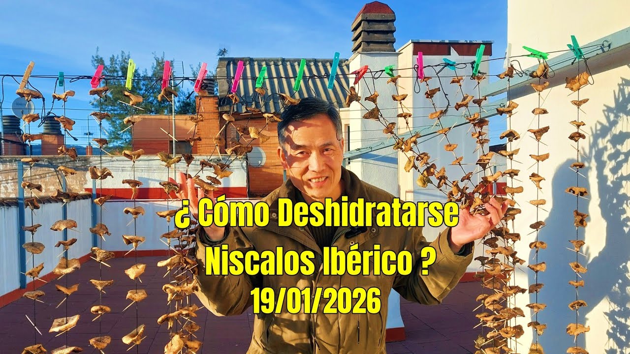 Niscalos Deshidratadas 