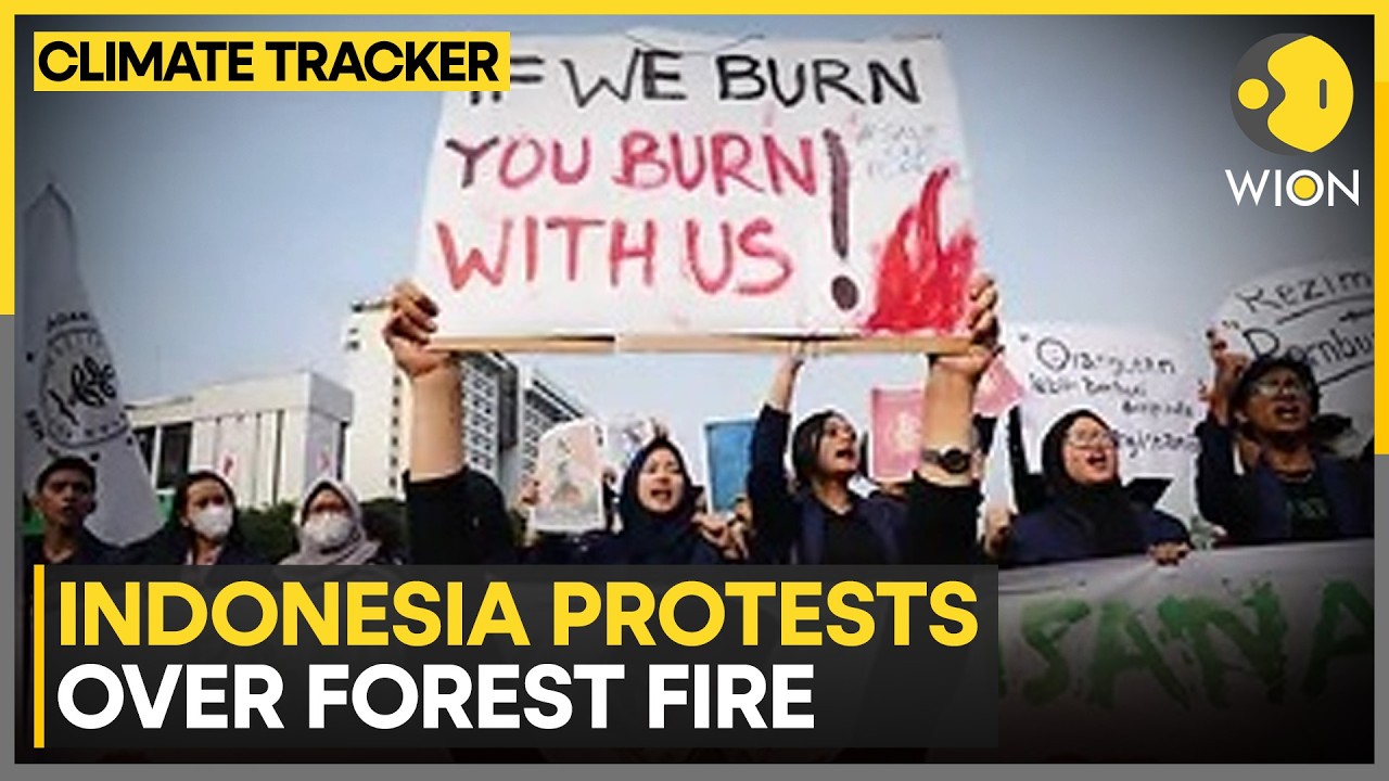 Indonesian Students Protest Over Forest and Land Fires | WION Climate Tracker