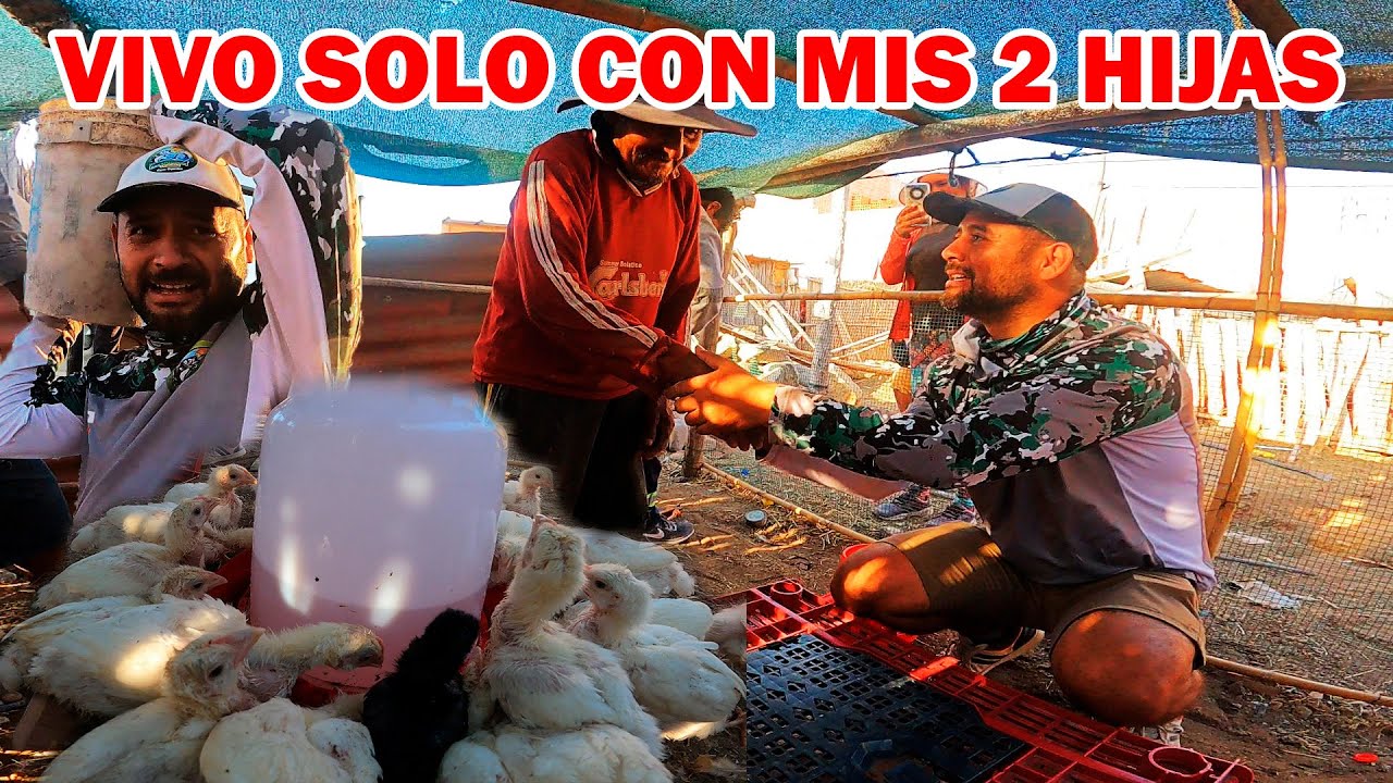 Construimos GRANJA de POLLOS y piso de COCINA para Don Andr&eacute;s.