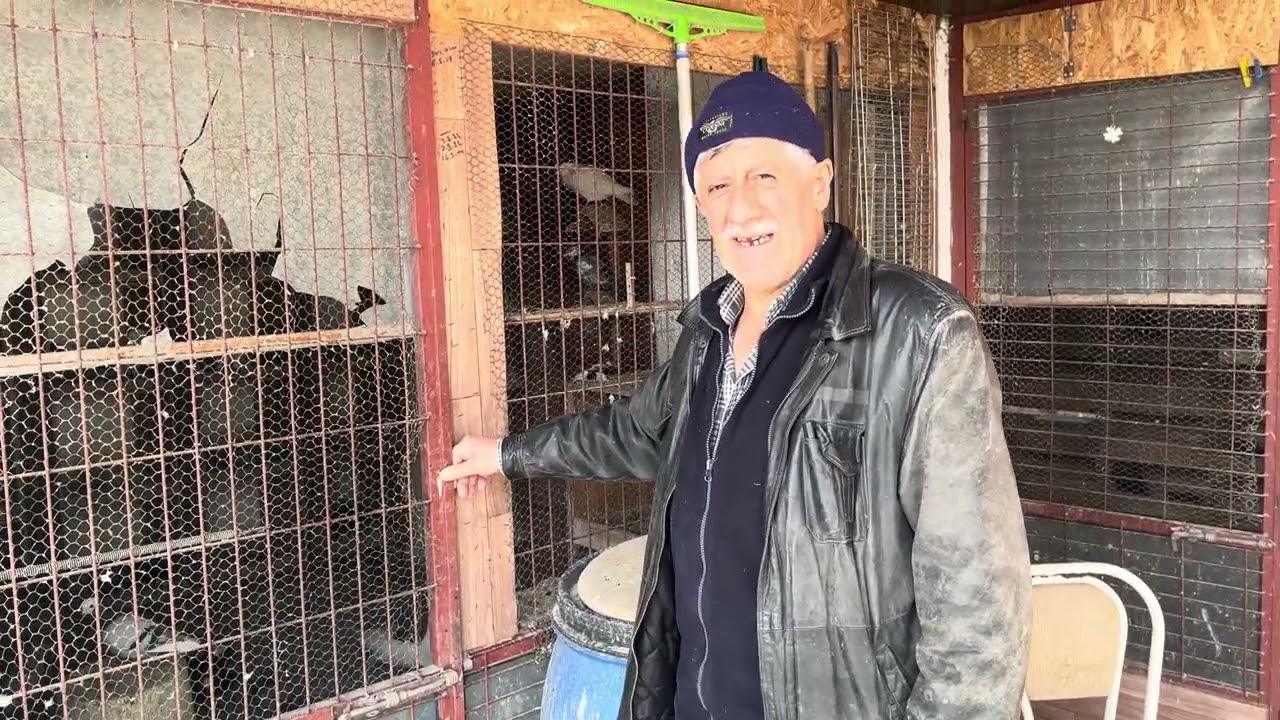 Eski kuşçu sunay abinin kümes ziyareti 