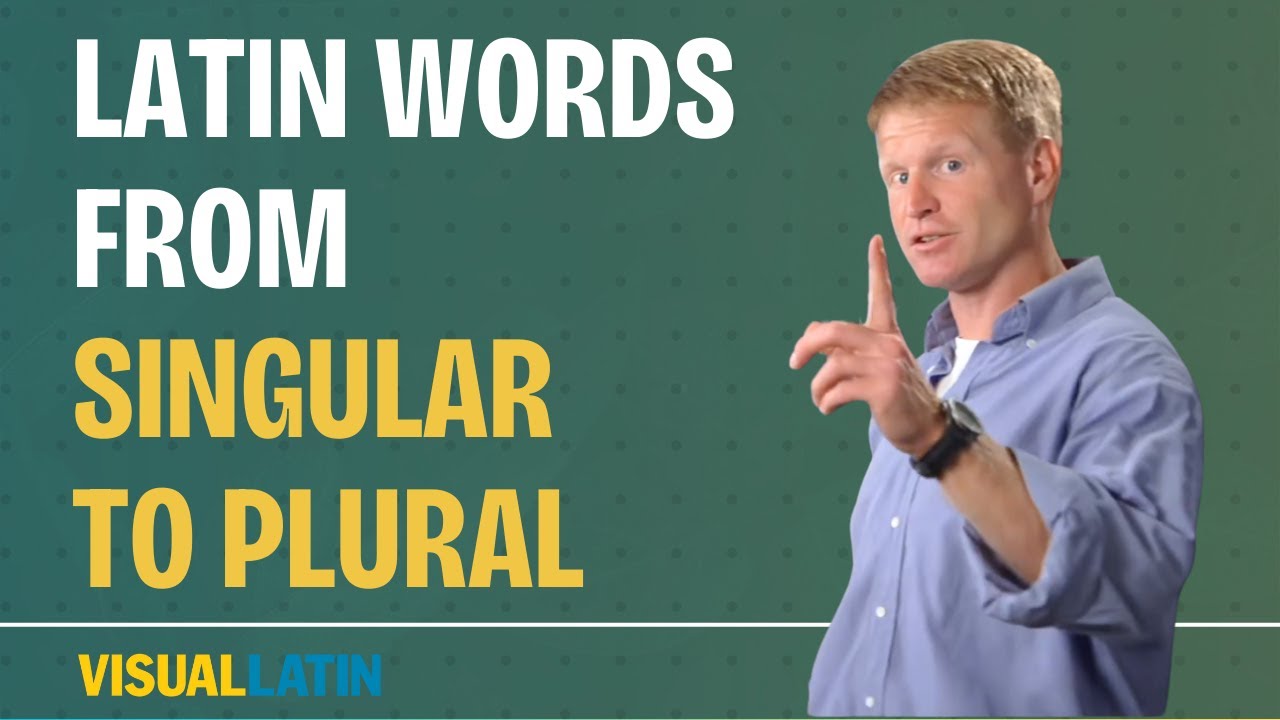 Как перевести латинское слово из единственного числа во множественное? | Visual Latin 4B