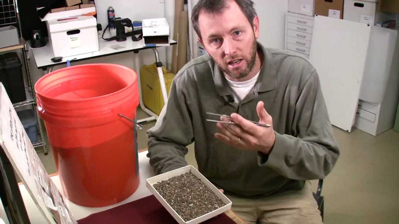 Picking Jamestown's past: Recovering the smallest artifacts