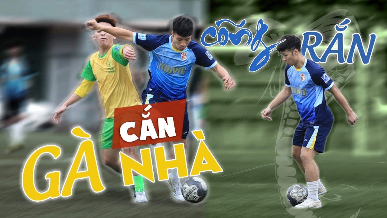 C&Otilde;NG RẮN CẮN G&Agrave; NH&Agrave; | C&aacute;n Cris