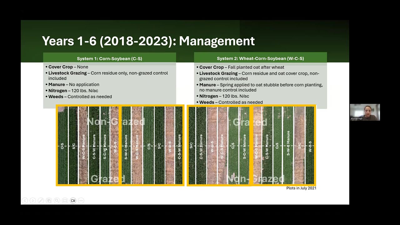 Grazing’s impact on soil health in integrated crop and livestock systems