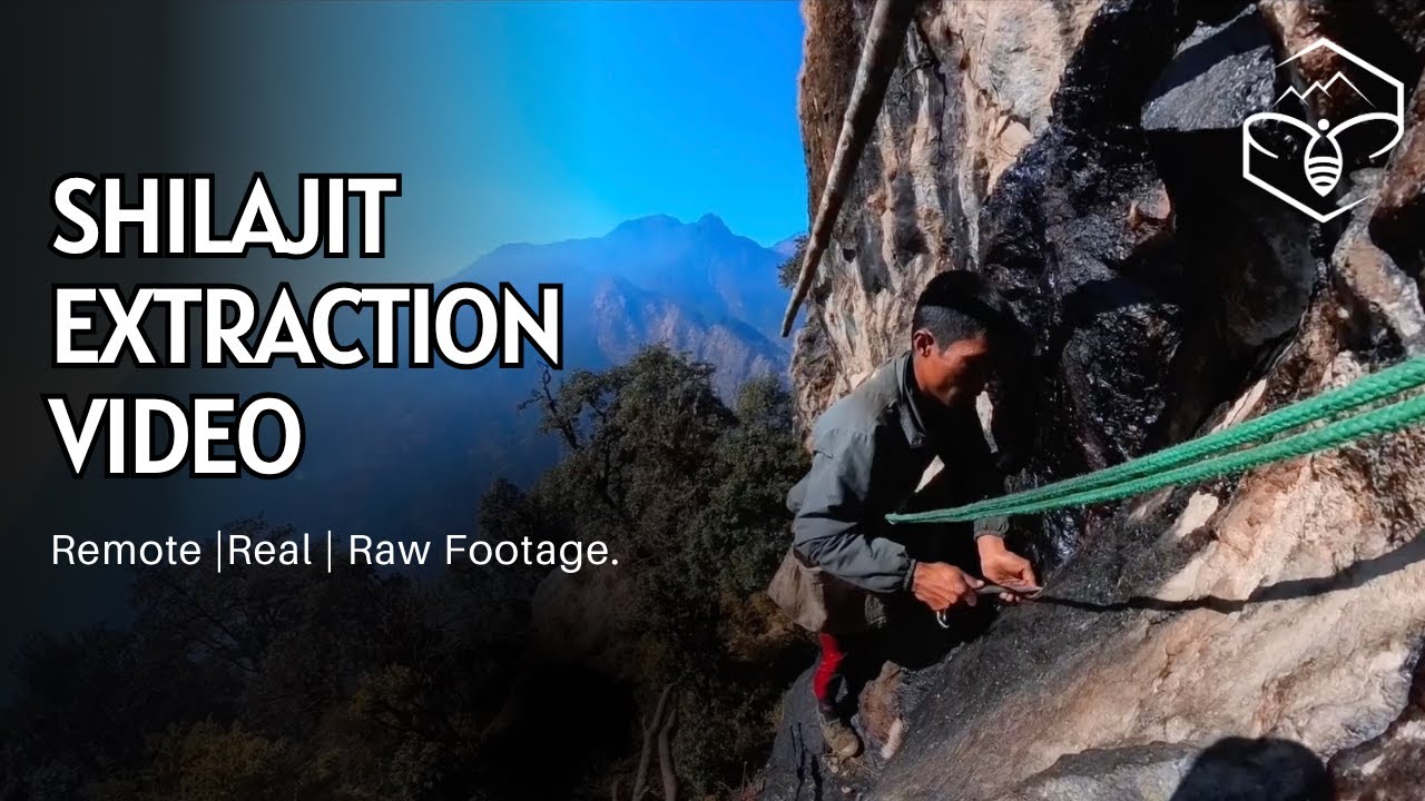 The Sacred Black Gold of Nepal – Full Shilajit Harvest Documentary