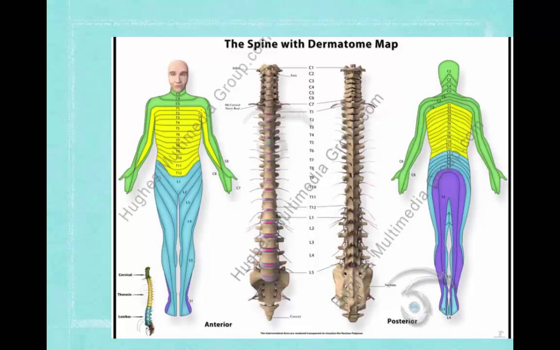 Epidural Analgesia Lecture on Epidural Analgesia