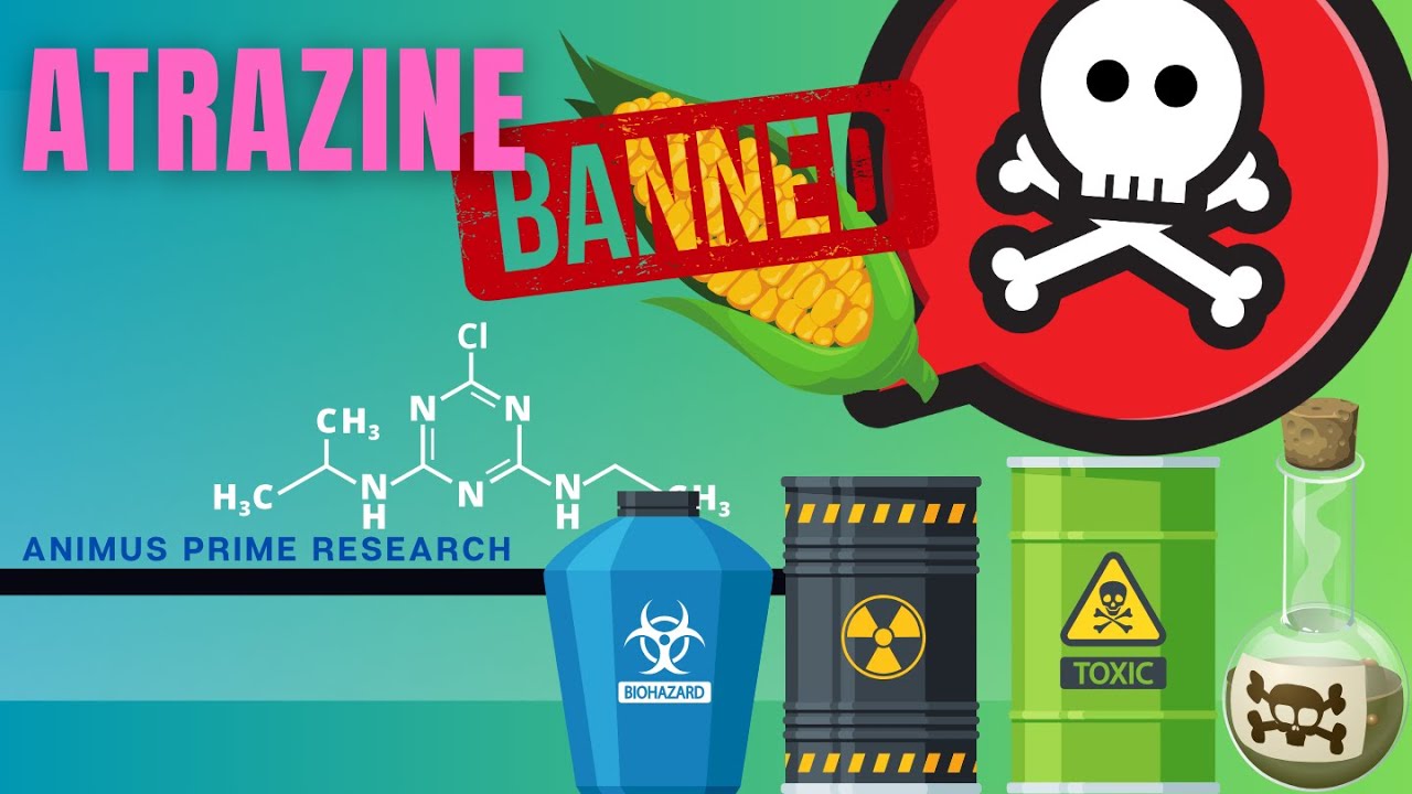 Atrazine is Dangerous