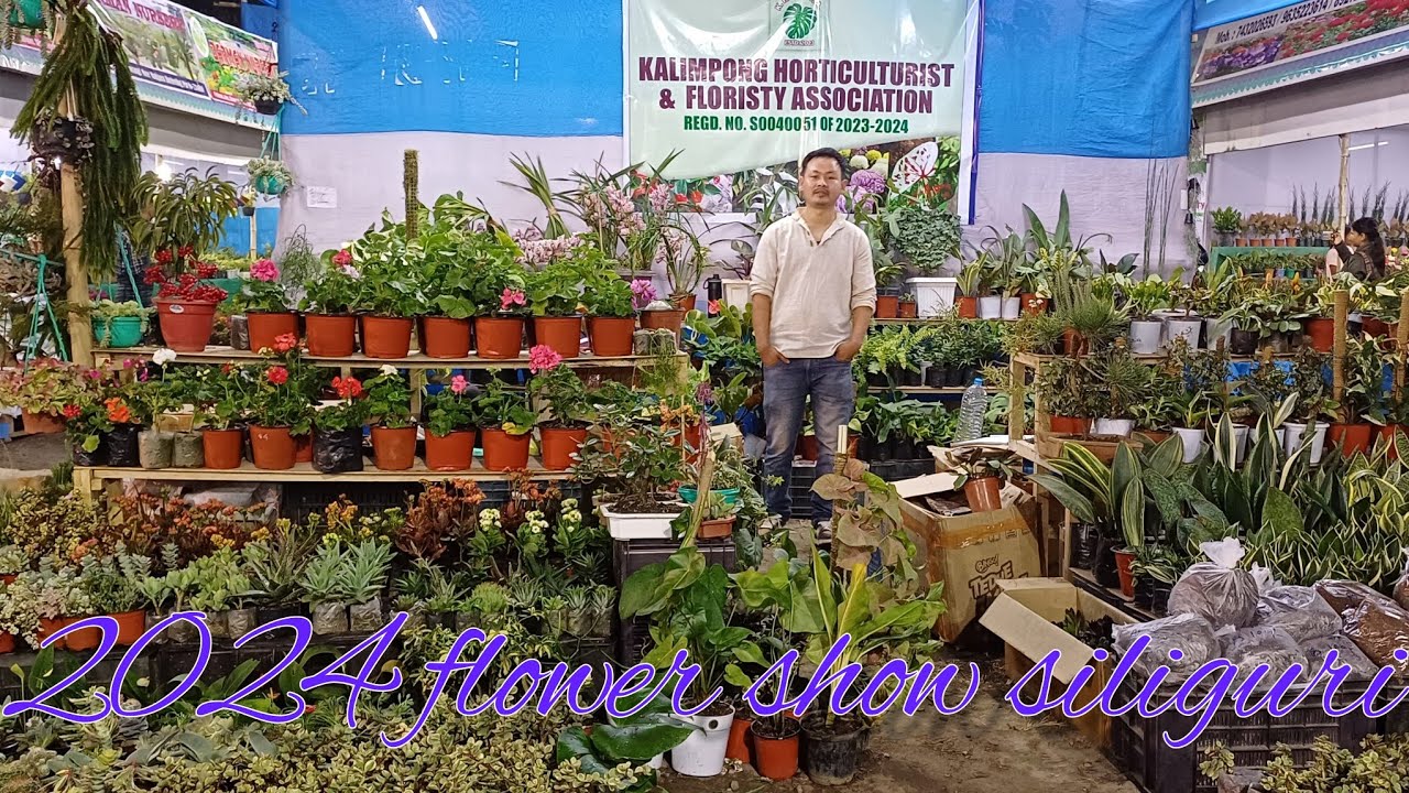 first day flower show siliguri 2024|| @ajvlog4128