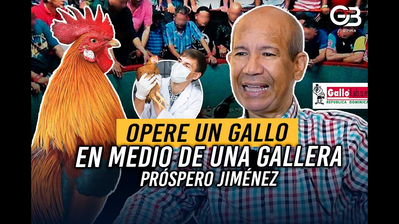 El Gallero Medico Veterinario Más Respetado -  Prospero Jimenez