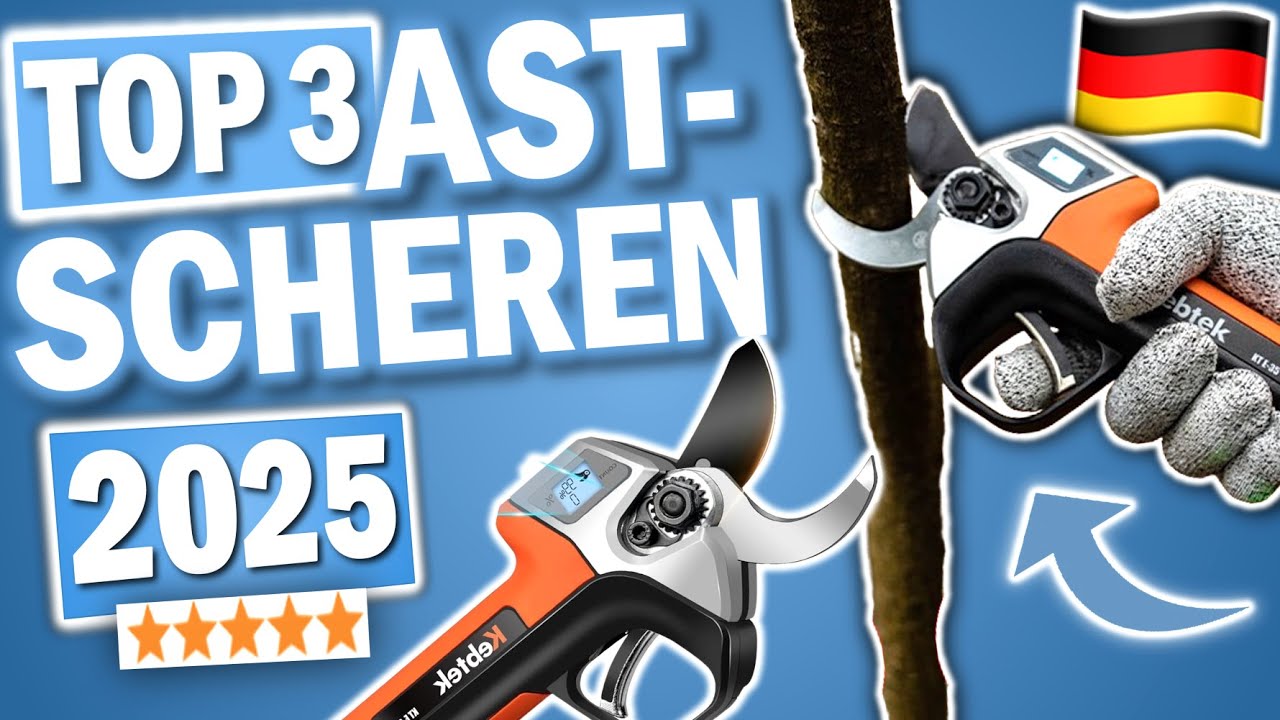 Top 3 Akku Astscheren 2026 im Vergleich!