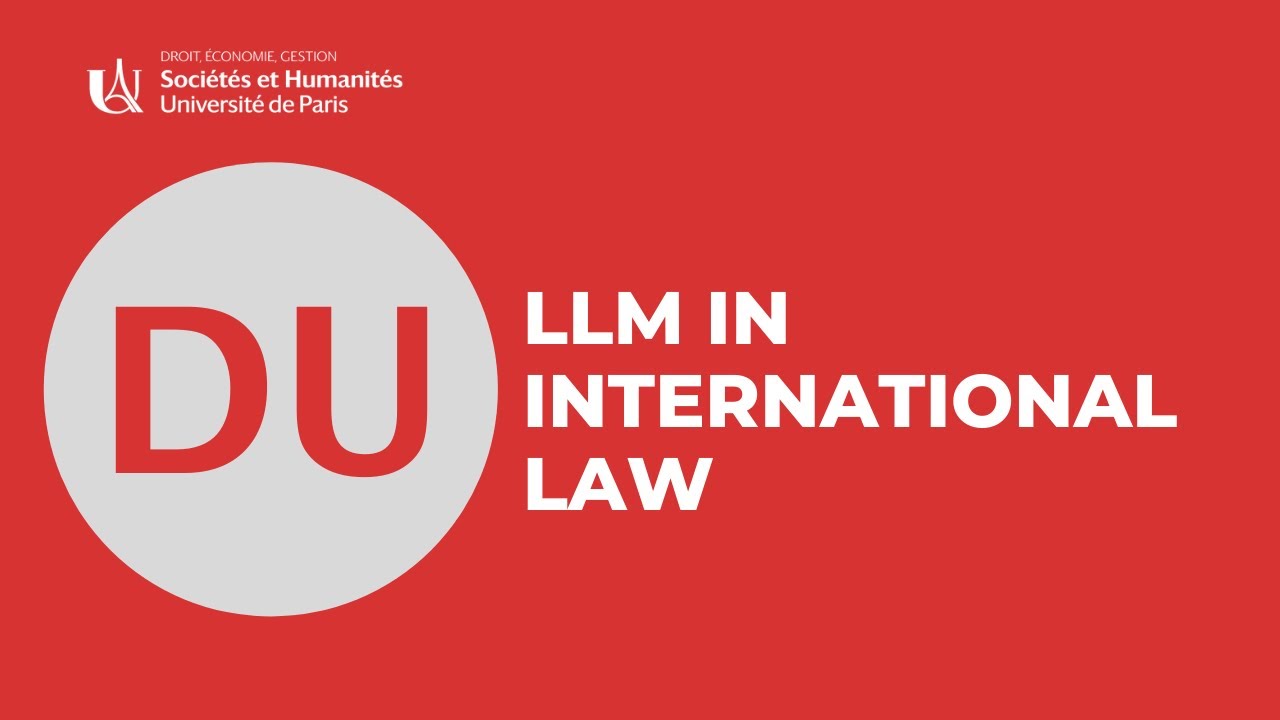 DU LLM in international law