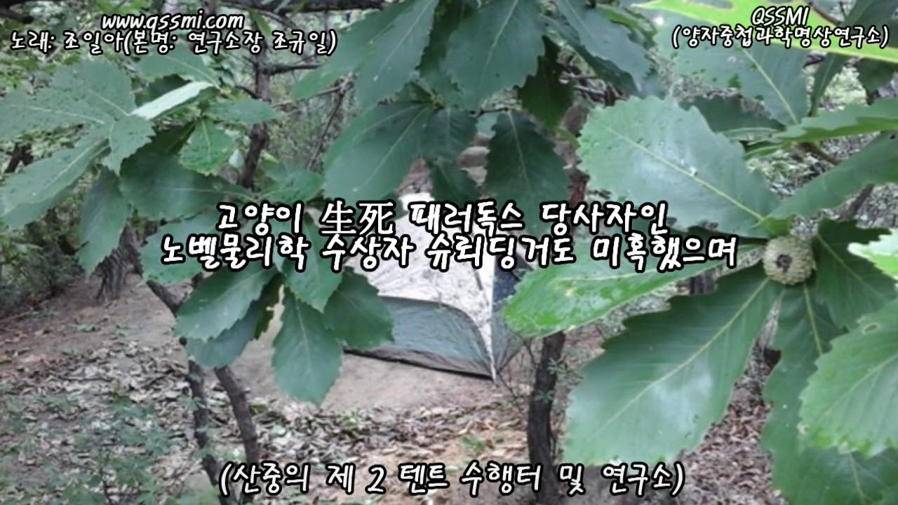 가요]최희준_길(노래: 조일아/본명: 연구소장 조규일-QSSMI(양자중첩과학명상연구소)