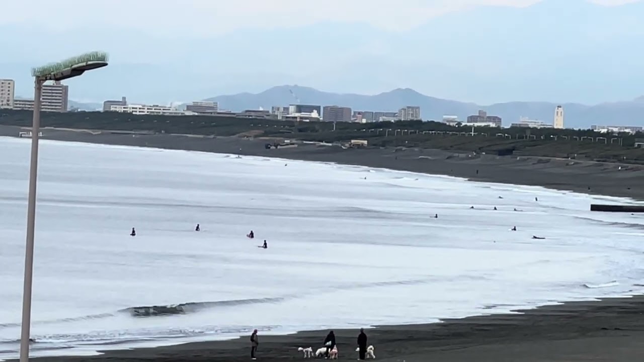 【鵠沼海岸】2026.3.12(木)AMスネ