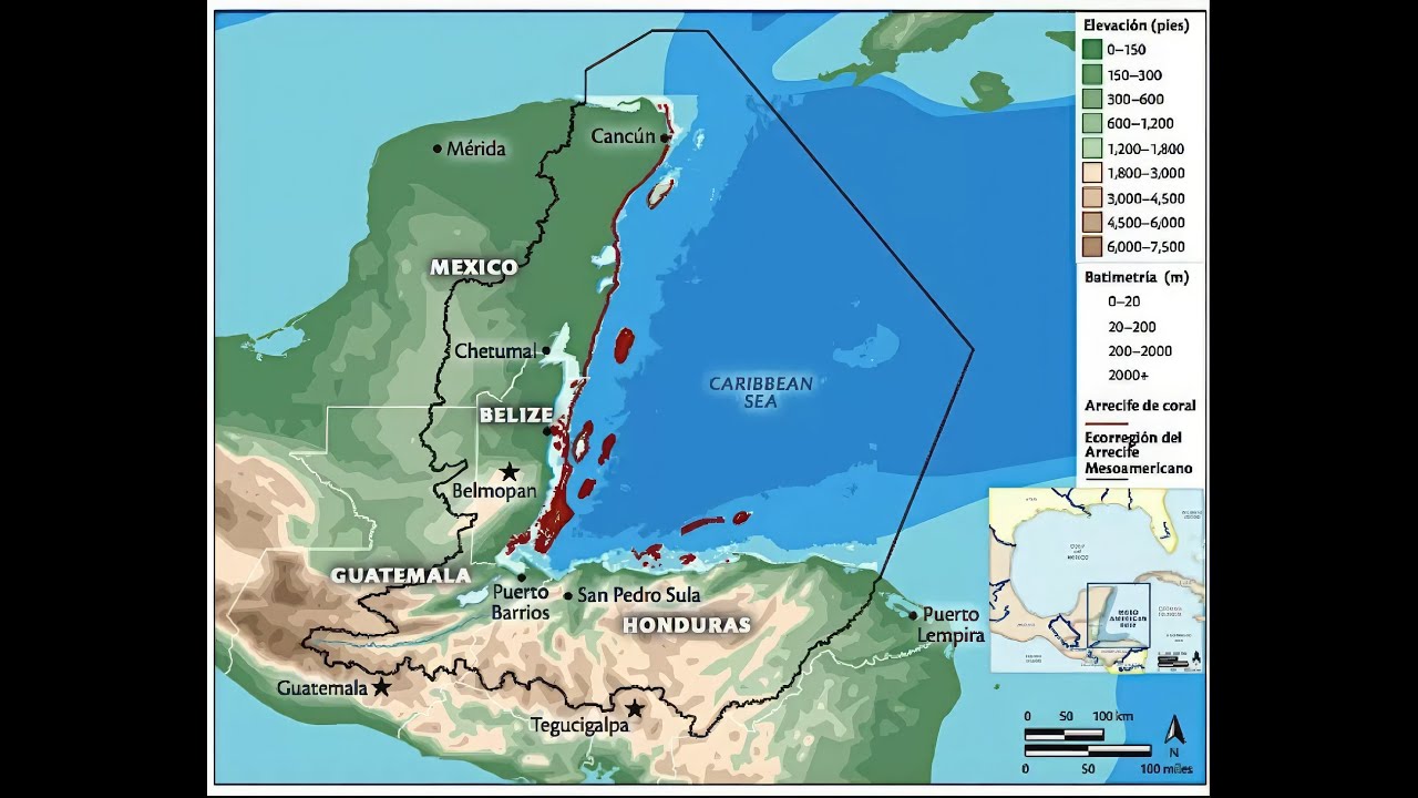 MESOAMERICAN REEF 2025