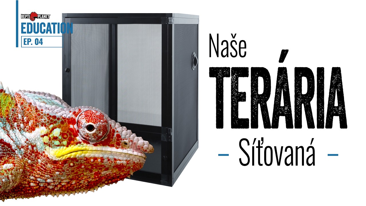 Síťovaná terária Repti Planet - TOP NOVINKA