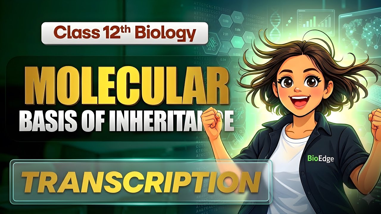 RNA, DNA and Transcription Process | Molecular Basis of Inheritance for NEET and Class 12 Biology