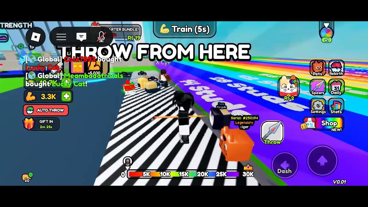This is my new upload and today im playing spear training