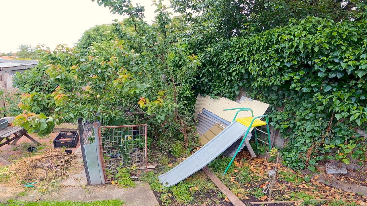 Disabled Lady really needed some HELP | Post-Apocalyptic Garden Transformation