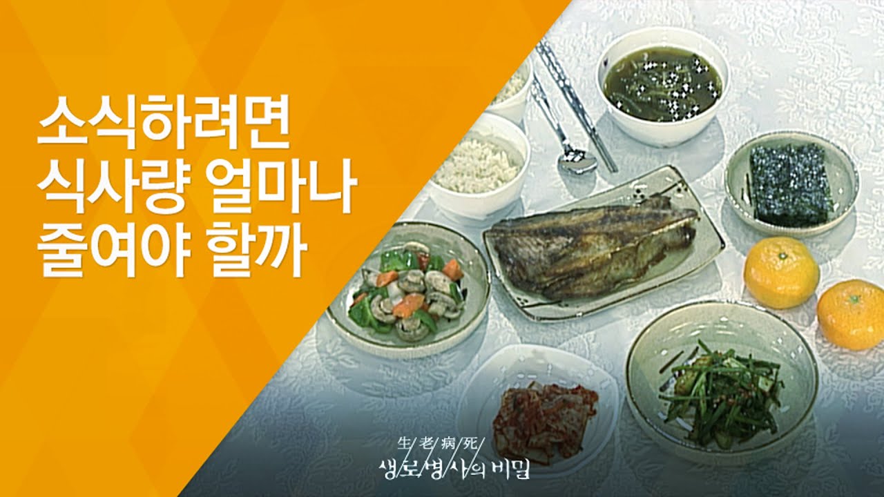 소식하려면 식사량 얼마나 줄여야 할까 - (2009.10.08_305회 방송)_가난한 밥상의 기적, 소식(小食)