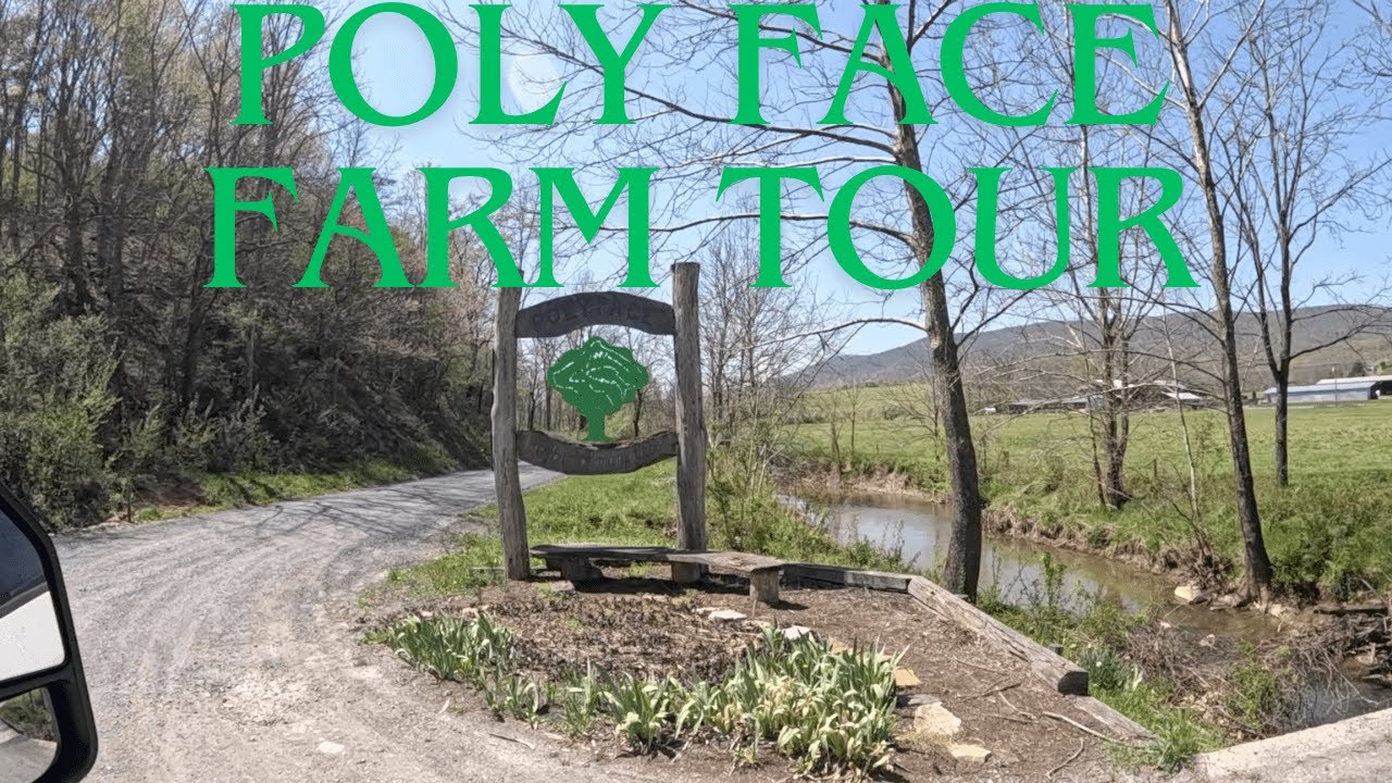 EP. 111 | Best Tour Ever | Poly Face Farm Grass Stain Tour | Joel Salatin