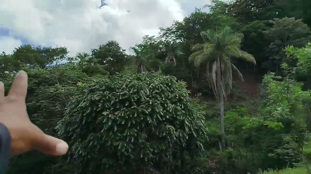 Sítio 41 hectares R$ 210. 00 mil 13 km Fruta de leite mg norte minas gerais  ZAP 38)999379597 Daniel