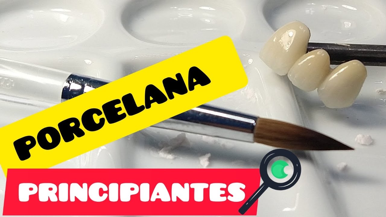 primer paso en cerámica dental (principiantes)#protesisdental #porcelana  #laboratoriodental