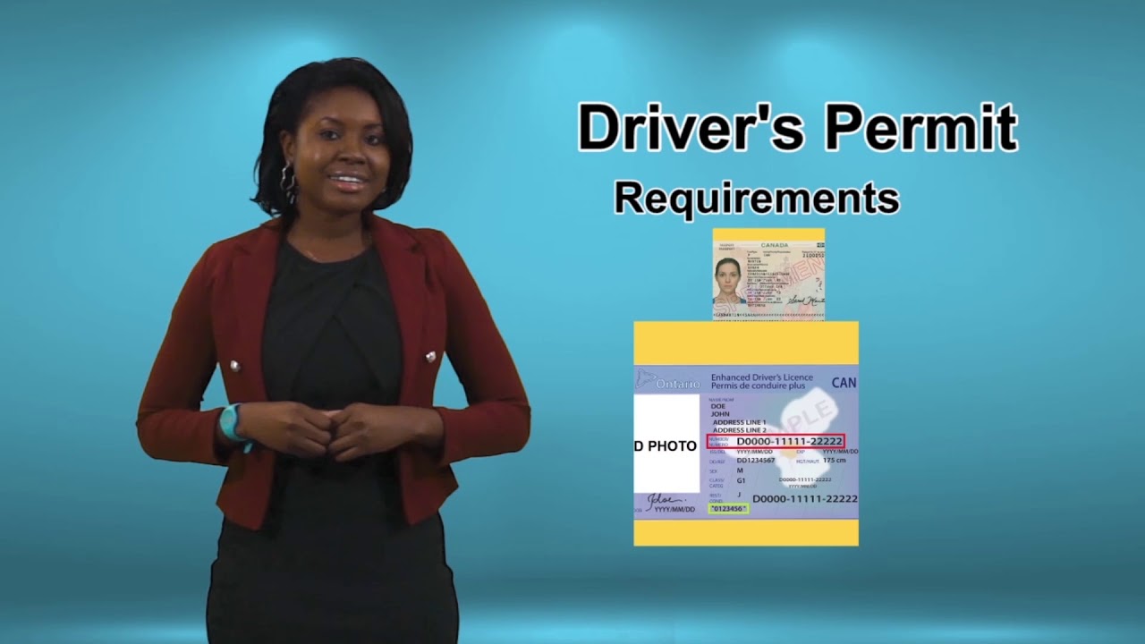 Driver Licence Permit