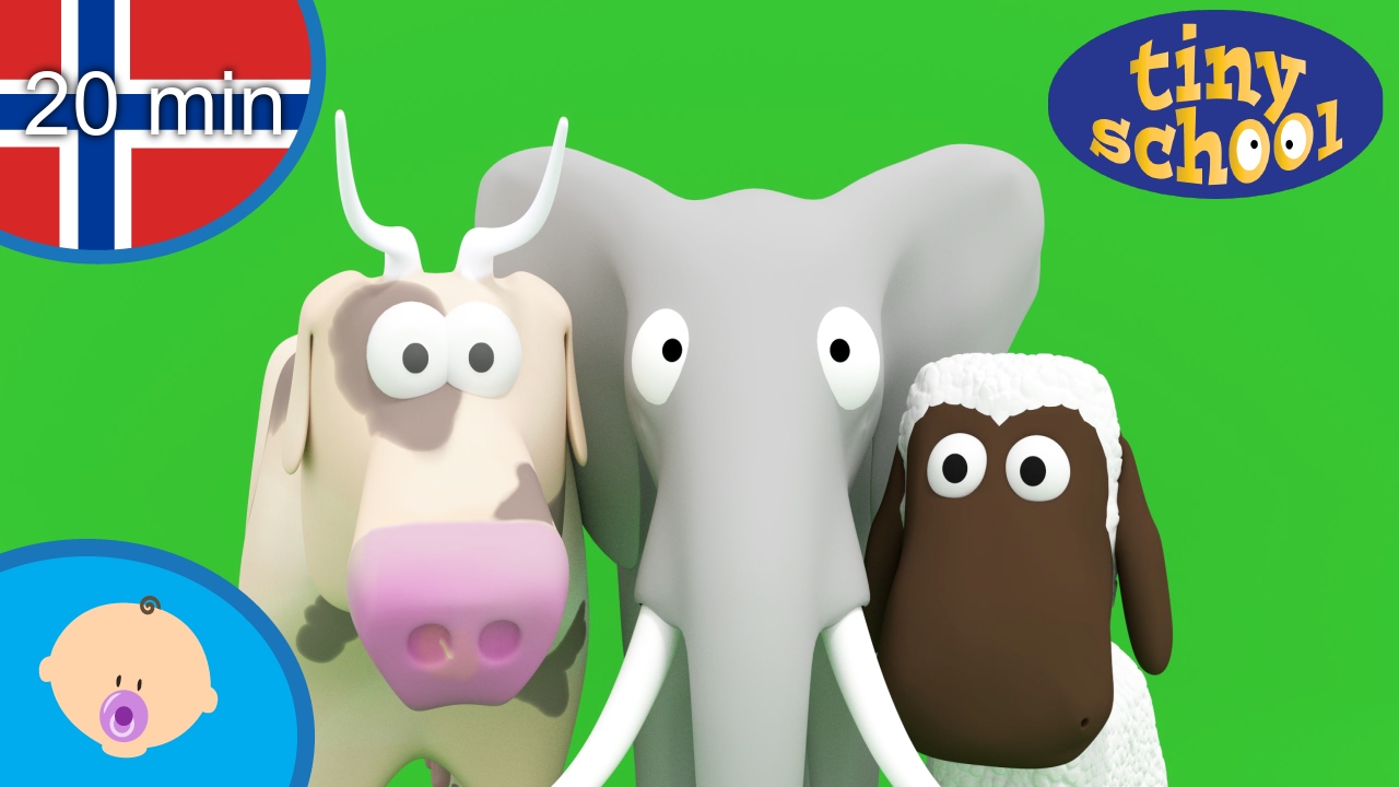 Navn og lyder av dyr og mer for småbarn og babyer Tinyschool Norsk